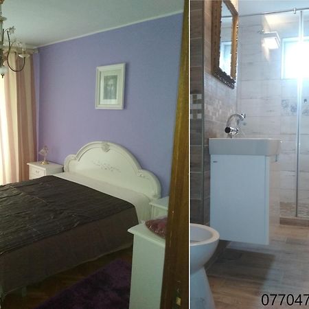 Pelican Proxy Apartment Oradea Eksteriør billede