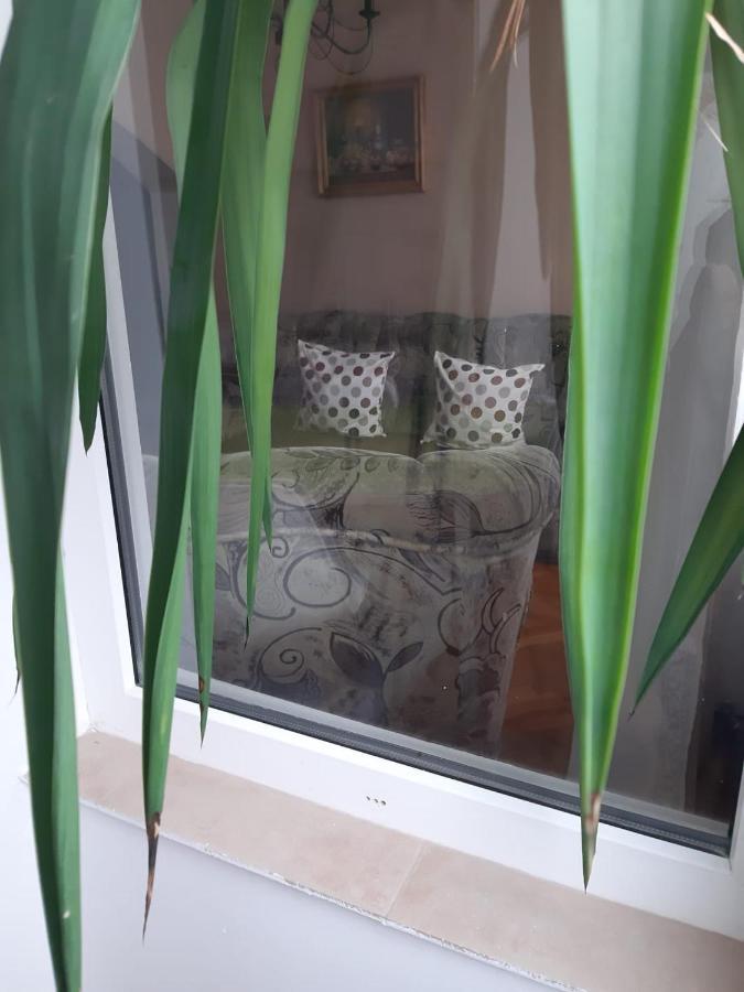 Pelican Proxy Apartment Oradea Eksteriør billede